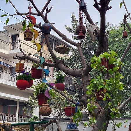 Delhi Bed And Breakfast New Delhi Extérieur photo